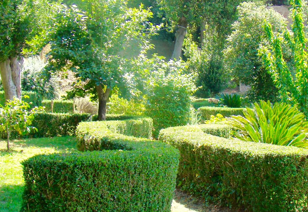Giardino
